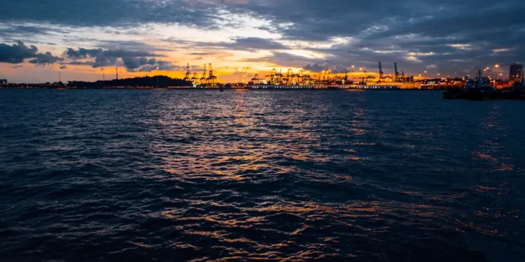 “Descubriendo la complejidad positiva de la economía”