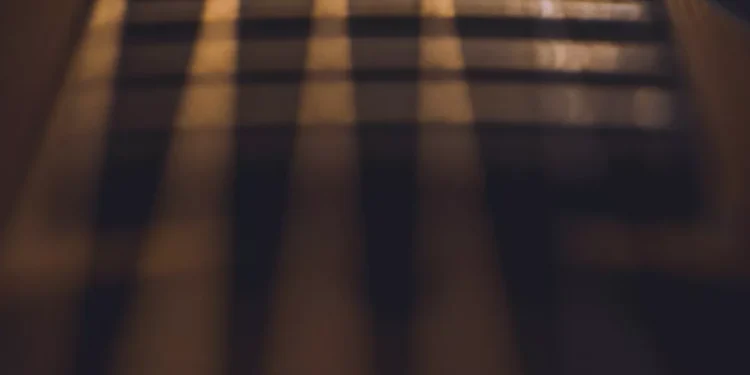 “La música: un lenguaje universal que nos une”