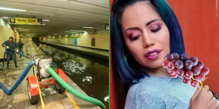 Luna Bella desea para este 2025 que los vagones del metropolitano no estén tanto tiempo en remodelación