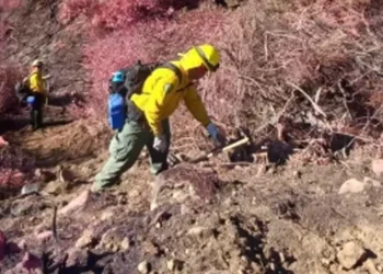 Delegación mexicana colabora con autoridades de California