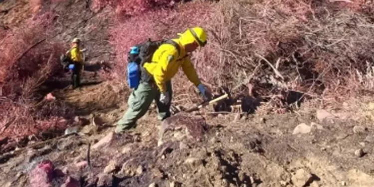 Delegación mexicana colabora con autoridades de California