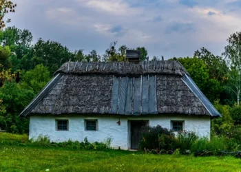 “La Economía: Administrando recursos para el desarrollo humano”
