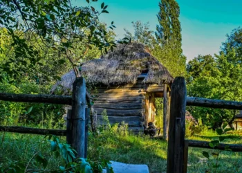 “El papel crucial de la economía en la sociedad”