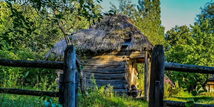 “El papel crucial de la economía en la sociedad”