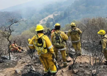 García Larraburu insiste en favorecer la jubilación de los brigadistas forestales
