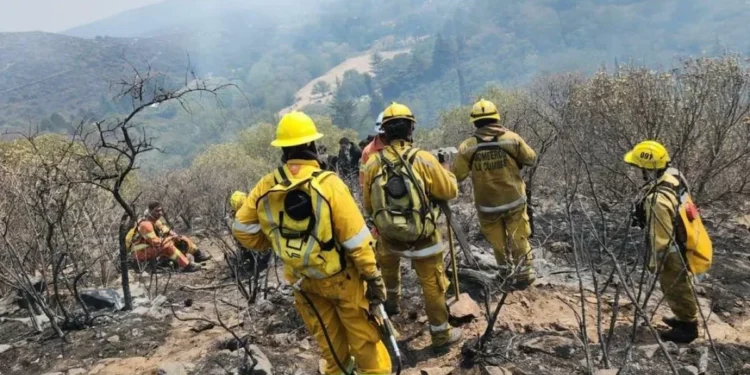 García Larraburu insiste en favorecer la jubilación de los brigadistas forestales
