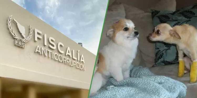 Gobierno empleará a funcionario para que vigile al funcionario que vigila la corrupción