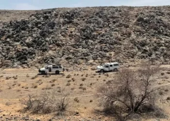 ¿Vida desconocida en la terreno? Científicos hallan rastros en mármol milenario