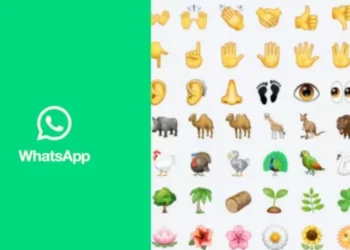 WhatsApp tiene siete emojis nuevos: cuáles son y qué significa cada singular