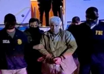 Mirador Político: Engrudo | Jorge Alcocer V.