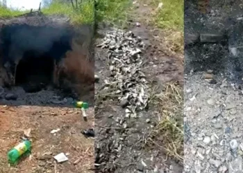 Mientras tanto, en México… | Artículo de Mario Luis Fuentes