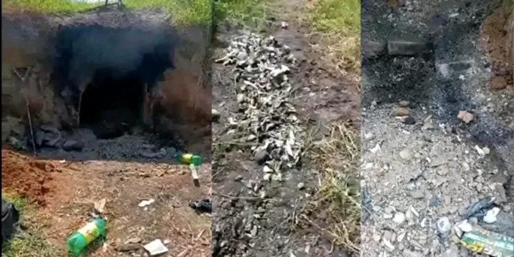 Mientras tanto, en México… | Artículo de Mario Luis Fuentes