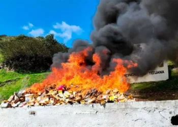 FGR incinera 6 toneladas de narcóticos en Baja California