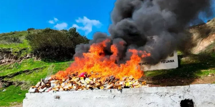 FGR incinera 6 toneladas de narcóticos en Baja California