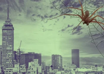 Una violinista urbana | Artículo de Carlos Galindo quijotesco e Iván Montes de Oca