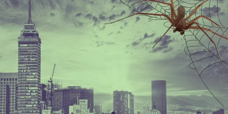 Una violinista urbana | Artículo de Carlos Galindo quijotesco e Iván Montes de Oca