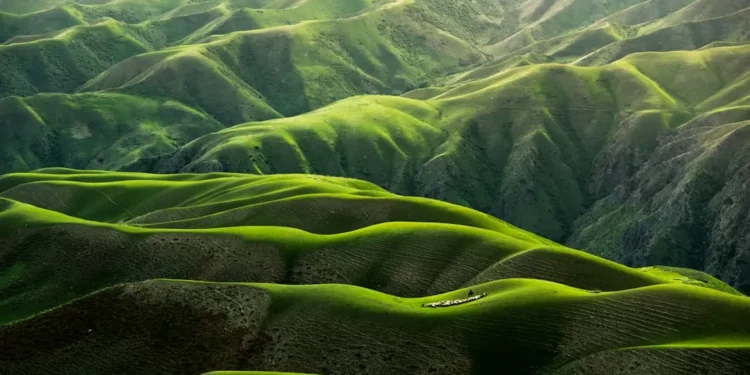 “Protegiendo nuestro planeta: el cuidado del medio ambiente”