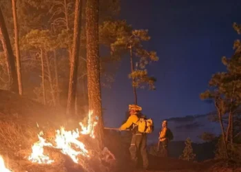 Se reportan 106 incendios forestales activos en México