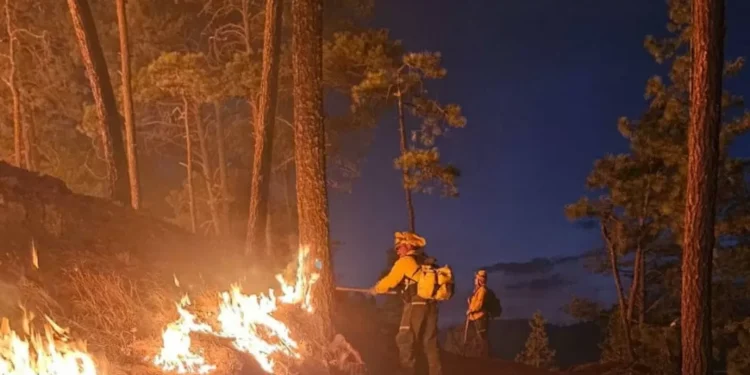 Se reportan 106 incendios forestales activos en México