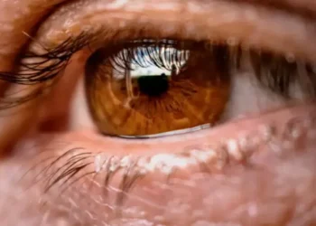 “Olo”: científicos dicen haber descubierto un “nuevo color”