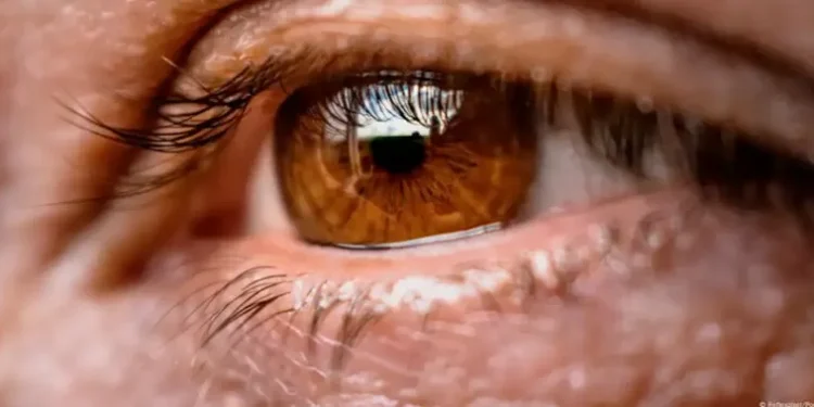 “Olo”: científicos dicen haber descubierto un “nuevo color”