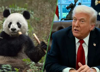 Trump desasosiego con más aranceles a China si no le regalan un panda