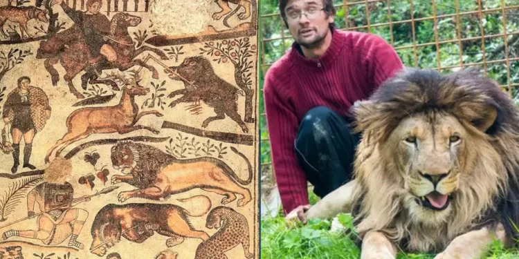 Dueños de leones aseguran que sus animales son tratados como reyes ayer de ser llevados al Coliseo