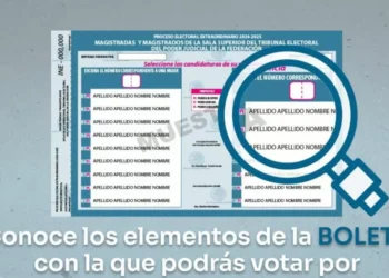 Elección judicial: INE presenta simulador de boletas para ensayar el voto