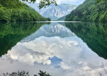 “Preservando nuestro planeta: acciones y proyectos en pro del Medio ambiente”