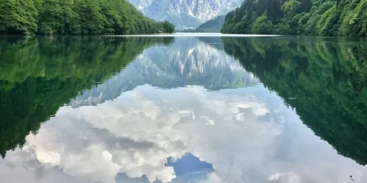 “Preservando nuestro planeta: acciones y proyectos en pro del Medio ambiente”