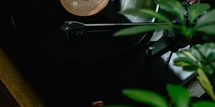 “El poder de la música: unión y expresión universal”