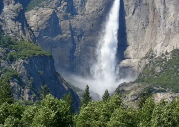 “El Medio Ambiente: Un Tema Vital en Nuestro Tiempo”