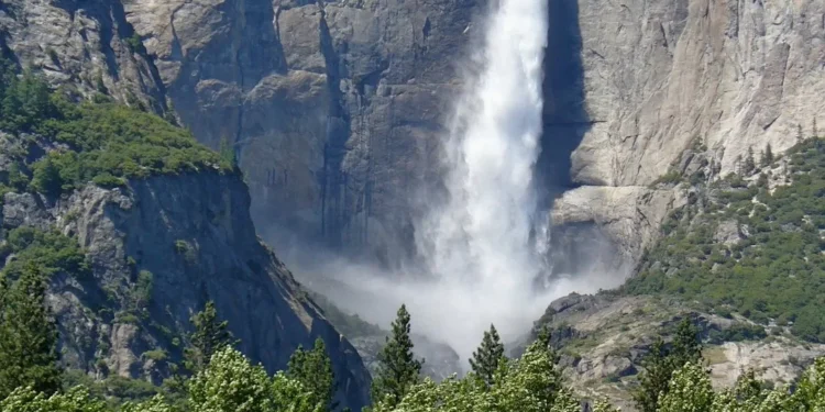 “El Medio Ambiente: Un Tema Vital en Nuestro Tiempo”