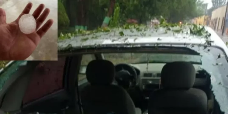 Enormes granizos destruyen parabrisas de autos en Coahuila