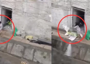 comunidad arroja basura al Río Hondo de Naucalpan, Edomex en temporada de lluvias