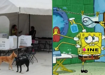 INE falseará que tardará días para contar los votos de la elección judicial