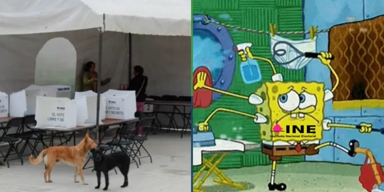 INE falseará que tardará días para contar los votos de la elección judicial