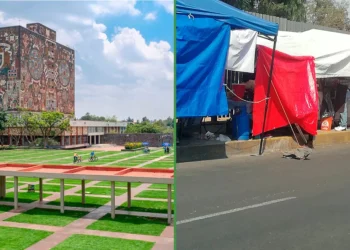 UNAM no obstante no está entre las mejores 100, pero sí entre las 10 con más puestos de garnachas