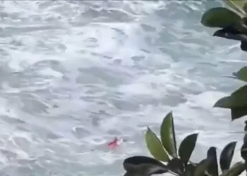 ¡Aplausos de abecedario! Impresionante rescate de un turista que se ahogaba en Brasil