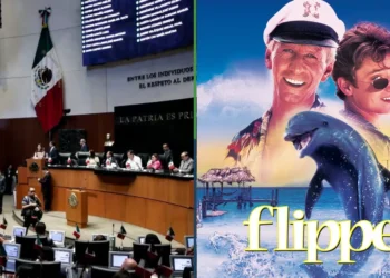 Senado ordena incautar todas las películas VHS y DVD que haya de Flipper
