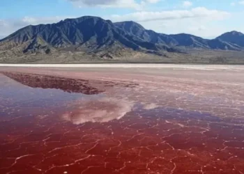 Este lago rojo ‘petrifica’ animales y protege a millones de flamencos