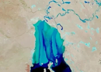 El regreso del lago Eyre: cómo un páramo se convirtió en oasis en semanas