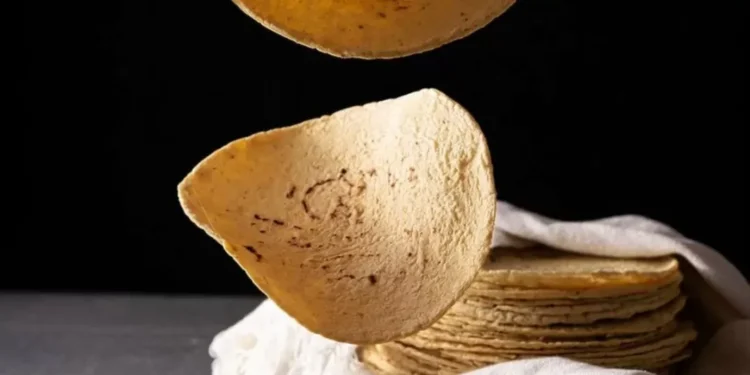 Recomiendan tortilla de maíz para la dieta del verano