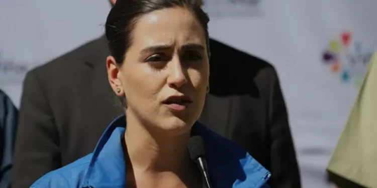 Alcaldesa Macarena Ripamonti pidió resultados a nueva seremi de Seguridad Pública