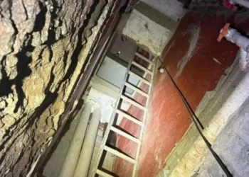 Narcotúneles conectaban casas en Culiacán; aseguran 200 armas y autos blindados