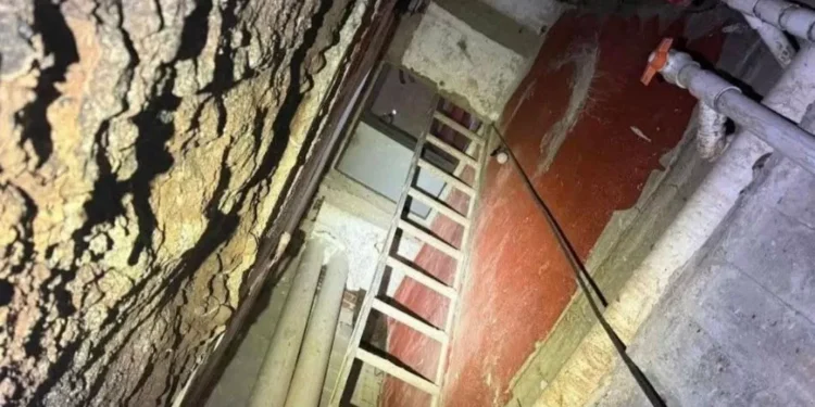 Narcotúneles conectaban casas en Culiacán; aseguran 200 armas y autos blindados