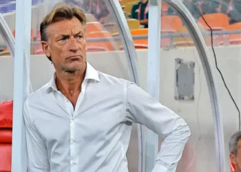 Hervé Renard pudo ser técnico de México