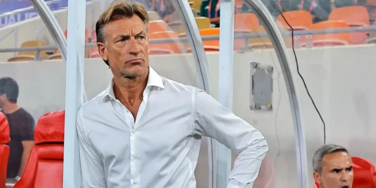 Hervé Renard pudo ser técnico de México