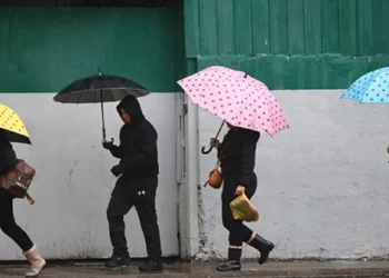 Más de 260 mil clientes sin luz entre Biobío y La Araucanía preciso a vientos y lluvias