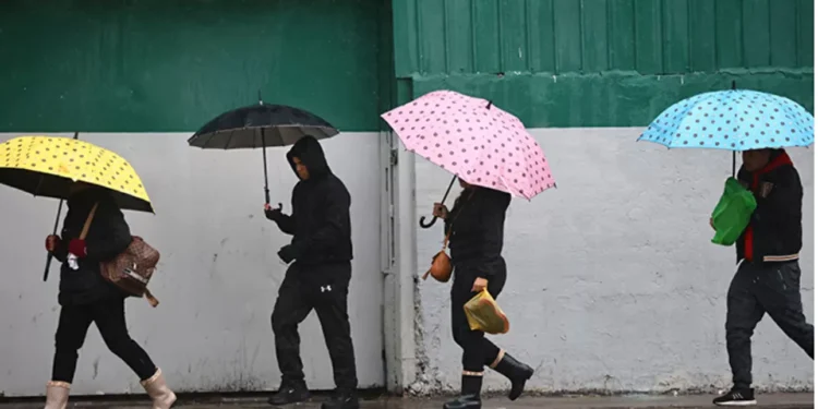 Más de 260 mil clientes sin luz entre Biobío y La Araucanía preciso a vientos y lluvias